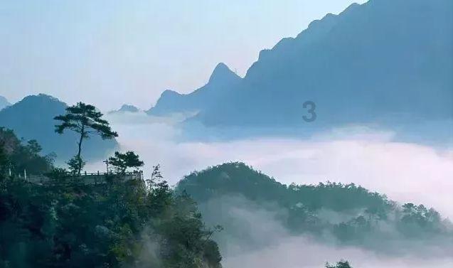动物狂欢夜