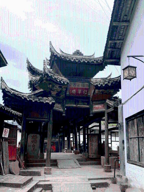 杨子录视频澄清谣言：与商家并肩而立，喊话招商公司侵权必究